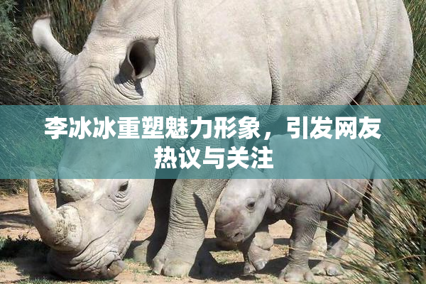 李冰冰重塑魅力形象，引发网友热议与关注