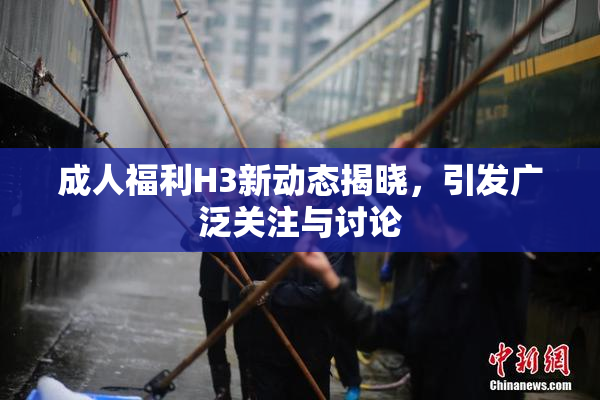 成人福利H3新动态揭晓，引发广泛关注与讨论