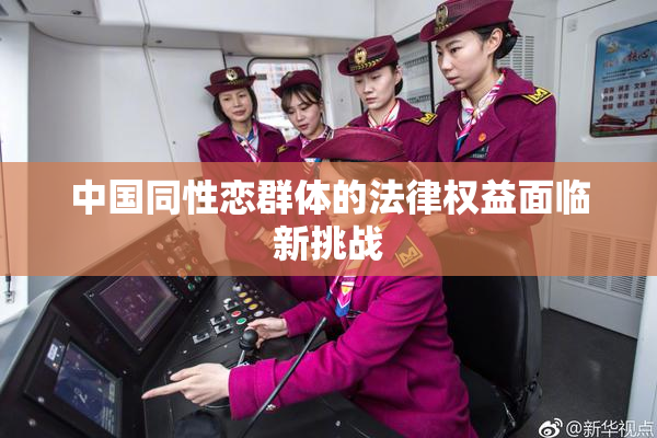 中国同性恋群体的法律权益面临新挑战