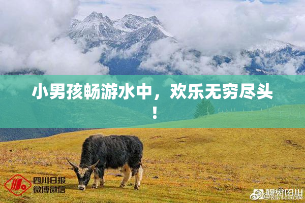小男孩畅游水中，欢乐无穷尽头！