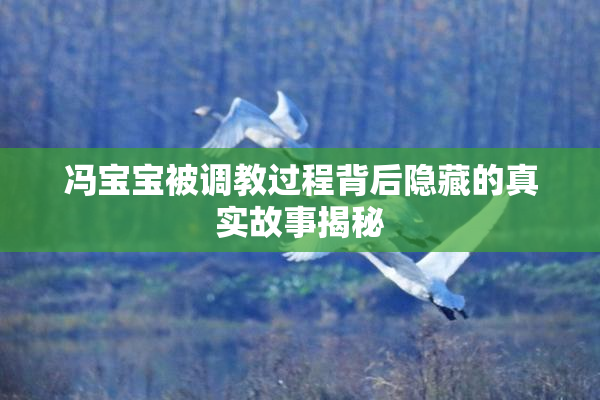 冯宝宝被调教过程背后隐藏的真实故事揭秘