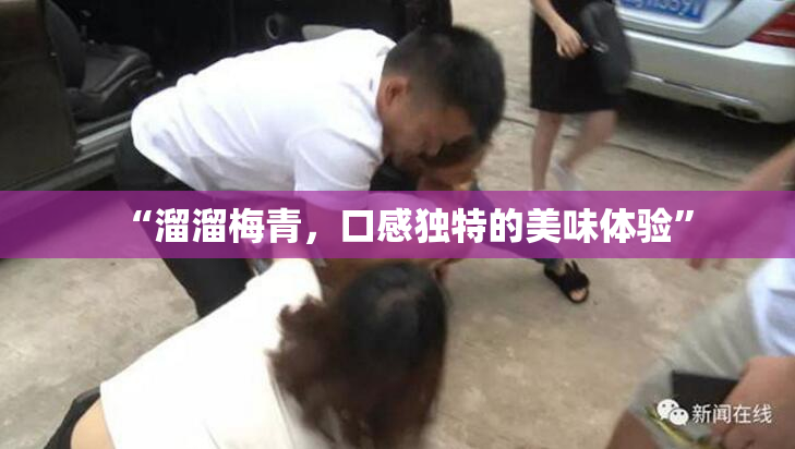 “溜溜梅青，口感独特的美味体验”