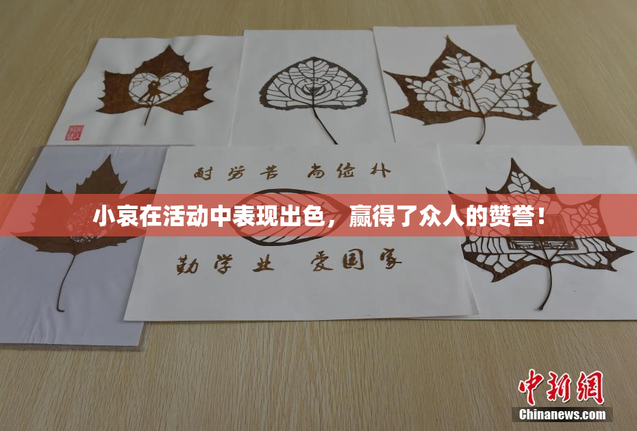 小哀在活动中表现出色，赢得了众人的赞誉！