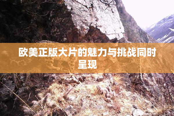 欧美正版大片的魅力与挑战同时呈现