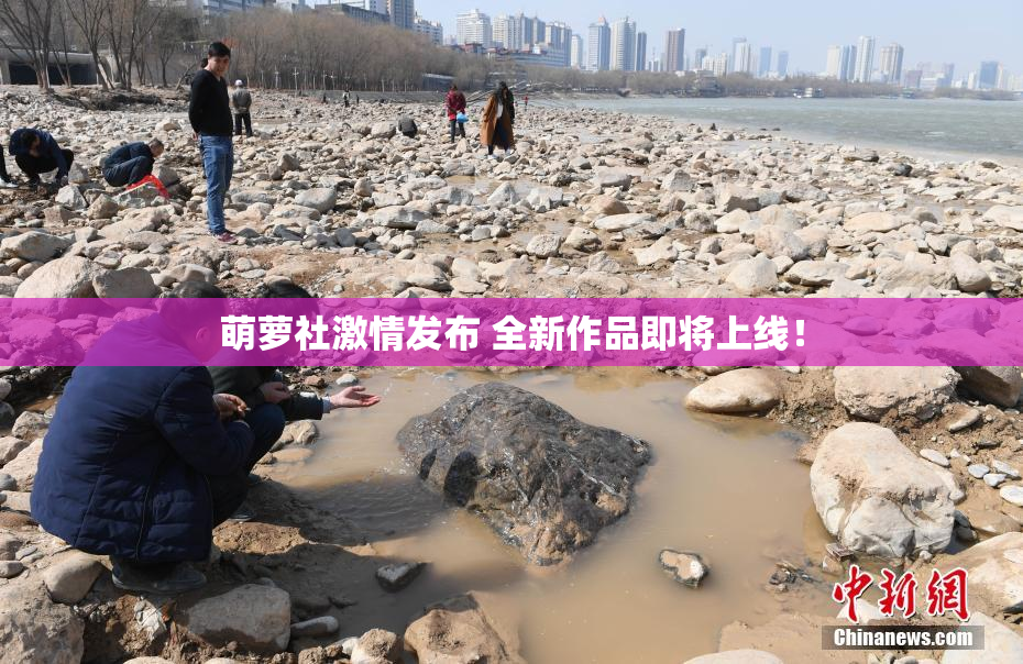 萌萝社激情发布 全新作品即将上线！