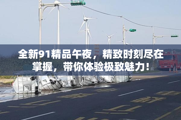 全新91精品午夜，精致时刻尽在掌握，带你体验极致魅力！
