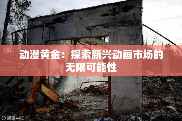 动漫黄金：探索新兴动画市场的无限可能性