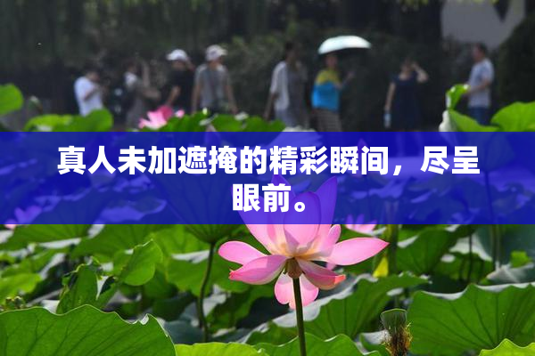 真人未加遮掩的精彩瞬间，尽呈眼前。