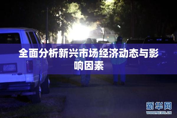 全面分析新兴市场经济动态与影响因素