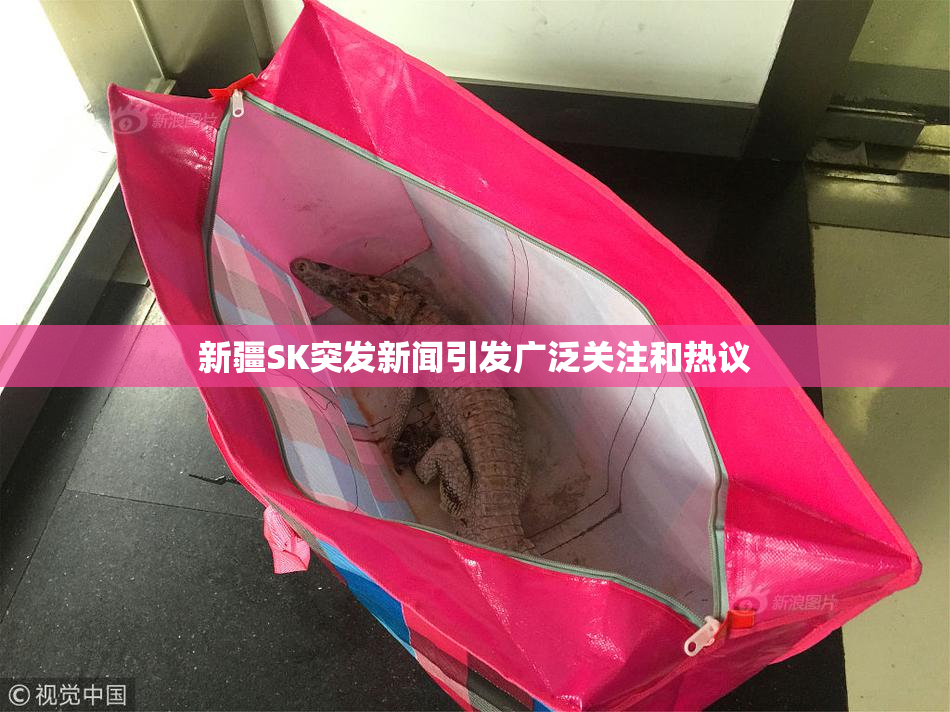 新疆SK突发新闻引发广泛关注和热议
