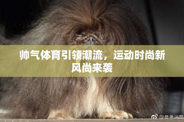 帅气体育引领潮流，运动时尚新风尚来袭