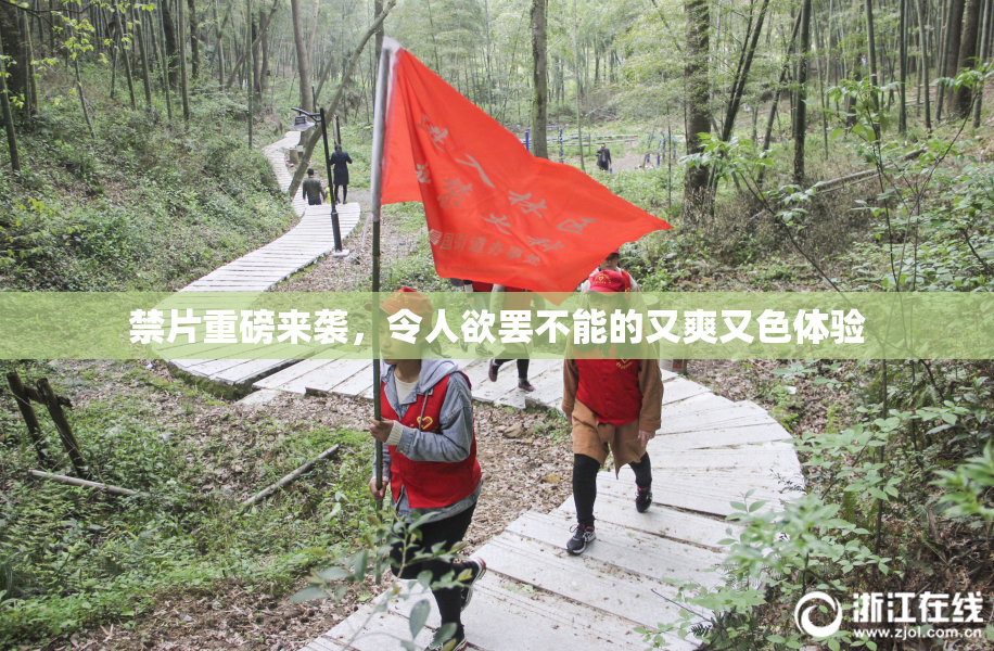 禁片重磅来袭，令人欲罢不能的又爽又色体验