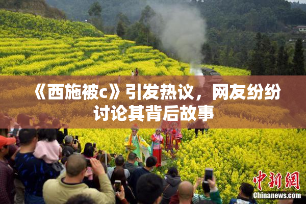 《西施被c》引发热议，网友纷纷讨论其背后故事
