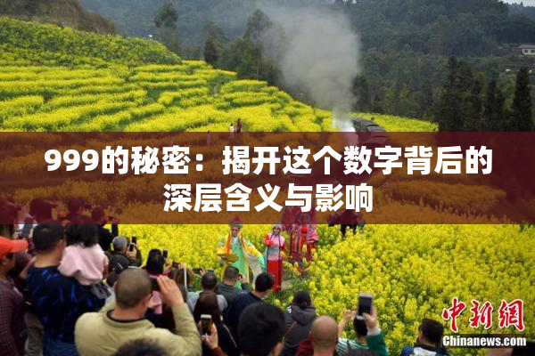 999的秘密：揭开这个数字背后的深层含义与影响