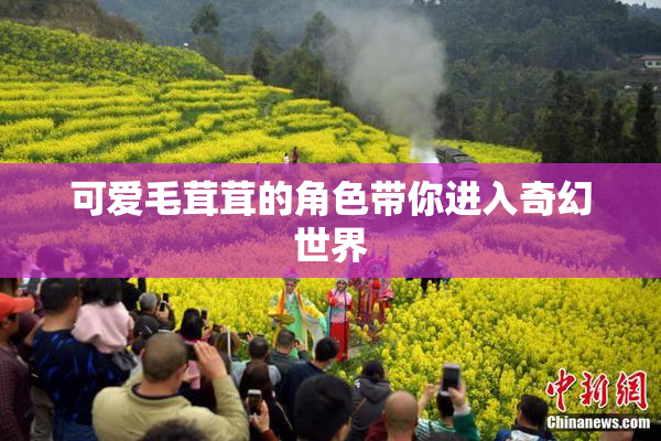 可爱毛茸茸的角色带你进入奇幻世界