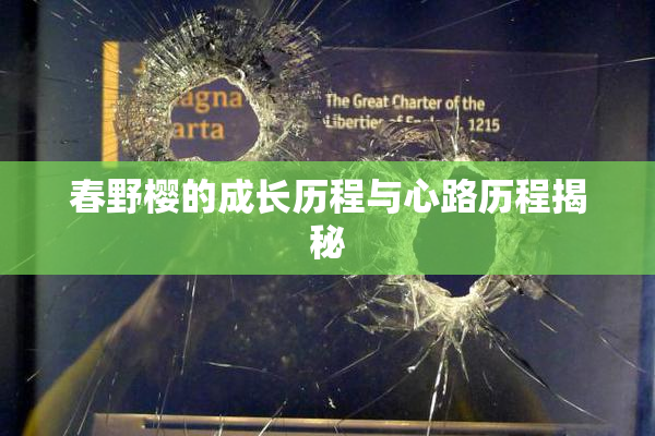 春野樱的成长历程与心路历程揭秘