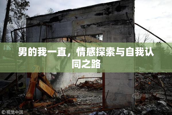 男的我一直，情感探索与自我认同之路