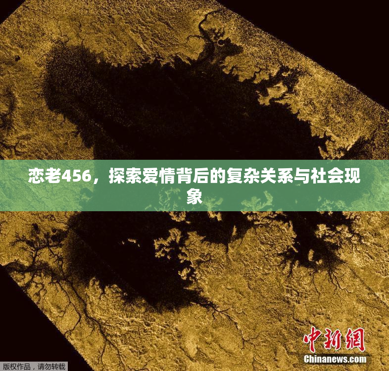 恋老456，探索爱情背后的复杂关系与社会现象