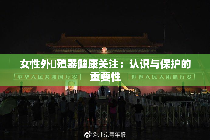 女性外夝殖器健康关注：认识与保护的重要性
