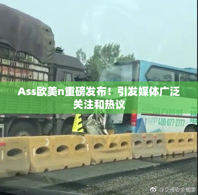 Ass欧美n重磅发布！引发媒体广泛关注和热议
