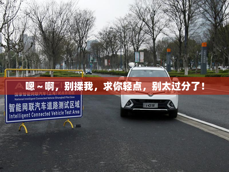 嗯～啊，别揉我，求你轻点，别太过分了！