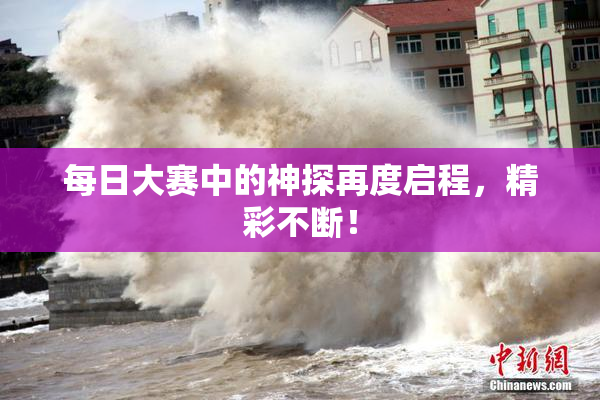 每日大赛中的神探再度启程，精彩不断！