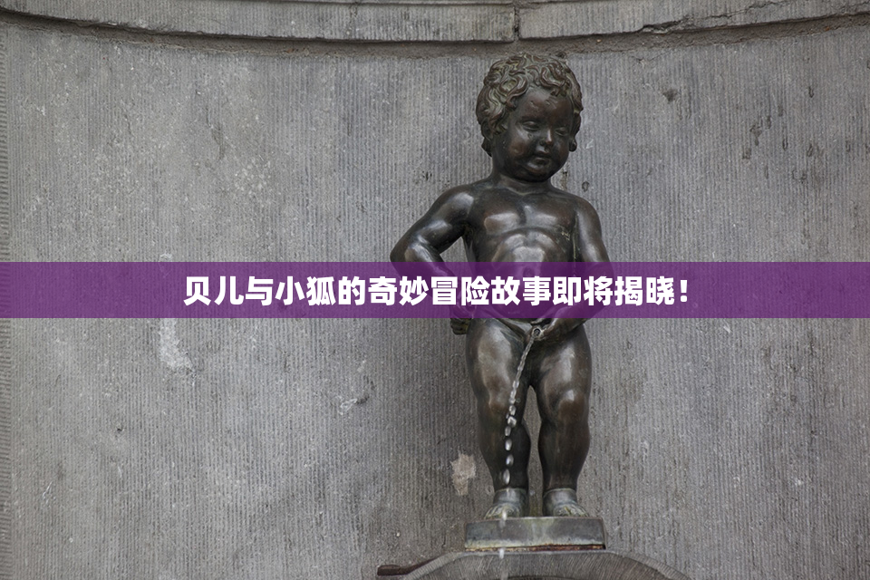 贝儿与小狐的奇妙冒险故事即将揭晓！