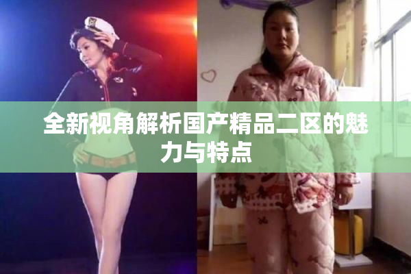 全新视角解析国产精品二区的魅力与特点