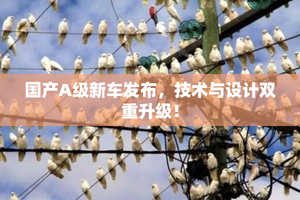 国产A级新车发布，技术与设计双重升级！