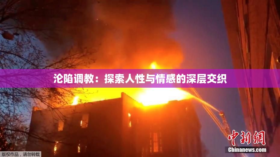 沦陷调教：探索人性与情感的深层交织