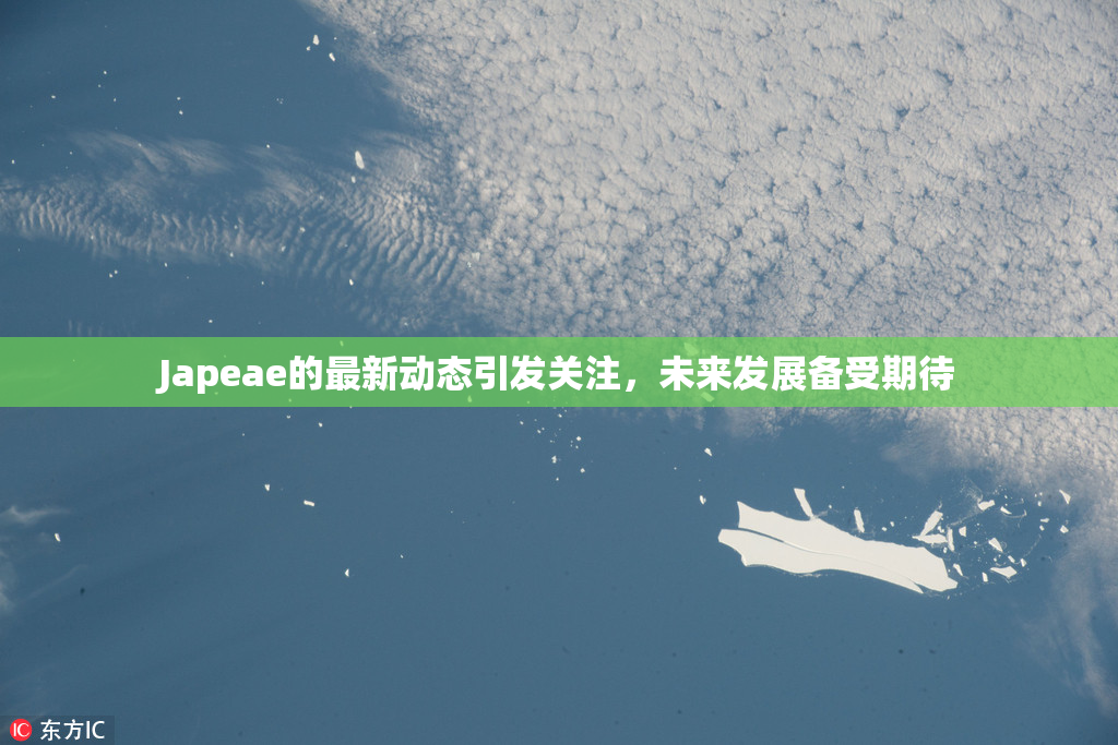 Japeae的最新动态引发关注，未来发展备受期待