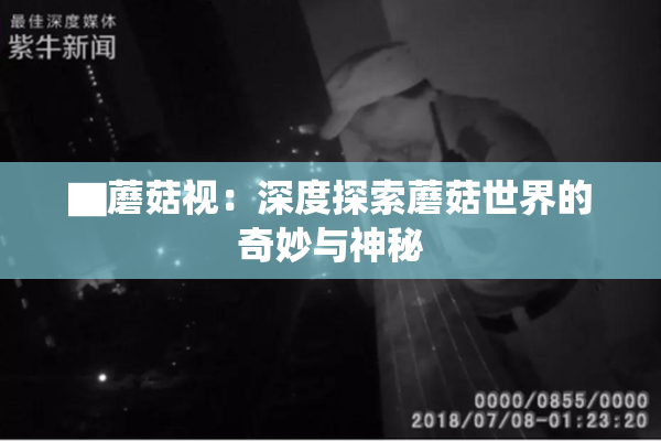 ▇蘑菇视：深度探索蘑菇世界的奇妙与神秘