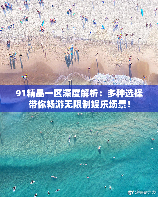 91精品一区深度解析：多种选择带你畅游无限制娱乐场景！