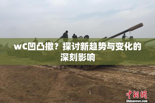 wC凹凸撒？探讨新趋势与变化的深刻影响