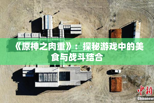 《原神之肉重》：探秘游戏中的美食与战斗结合