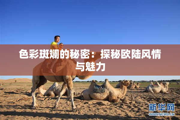 色彩斑斓的秘密：探秘欧陆风情与魅力