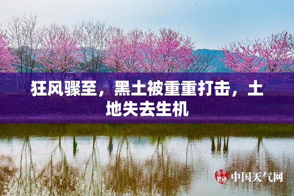 狂风骤至，黑土被重重打击，土地失去生机
