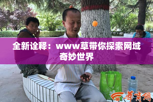 全新诠释：www草带你探索网域奇妙世界