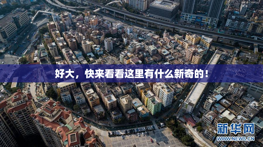 好大，快来看看这里有什么新奇的！
