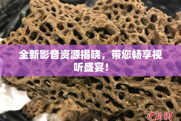 全新影音资源揭晓，带您畅享视听盛宴！