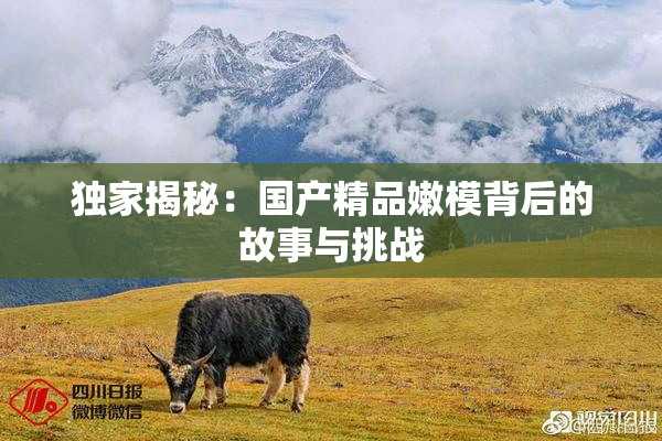 独家揭秘：国产精品嫩模背后的故事与挑战