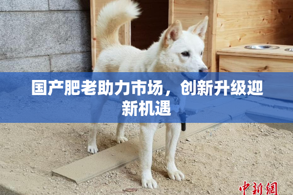 国产肥老助力市场，创新升级迎新机遇