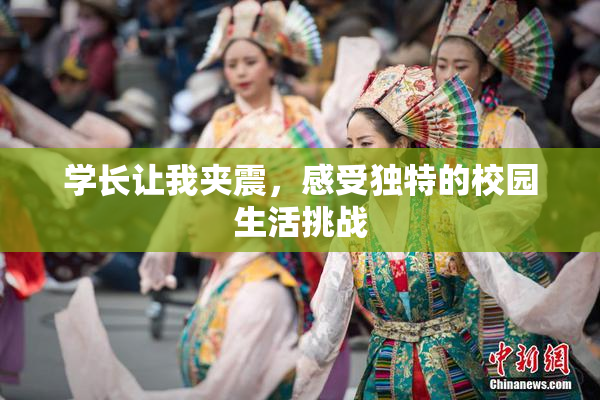 学长让我夹震，感受独特的校园生活挑战