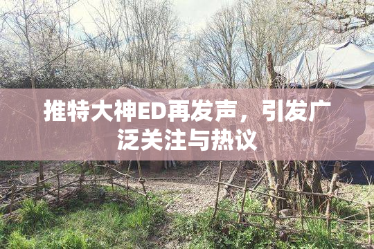 推特大神ED再发声，引发广泛关注与热议