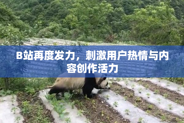 B站再度发力，刺激用户热情与内容创作活力