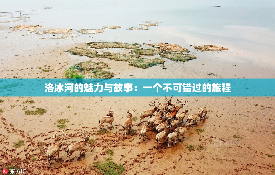 洛冰河的魅力与故事：一个不可错过的旅程
