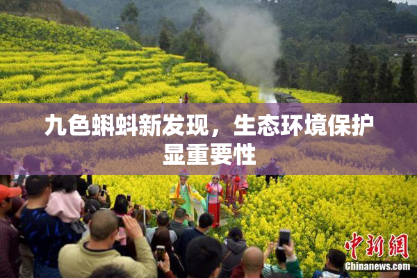九色蝌蚪新发现，生态环境保护显重要性