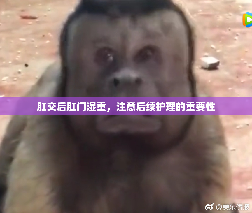 肛交后肛门湿重，注意后续护理的重要性