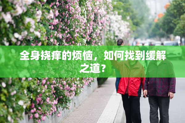 全身挠痒的烦恼，如何找到缓解之道？