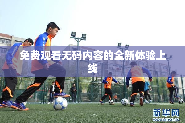 免费观看无码内容的全新体验上线